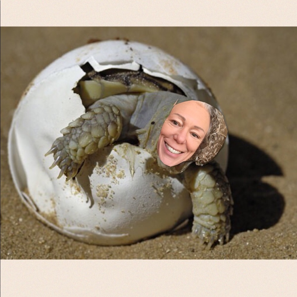 Meet your Posher, Tonya